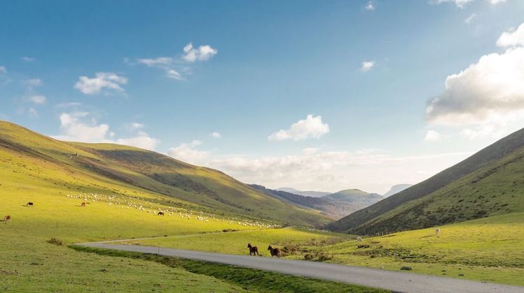 PAYSAGES BASQUE - Un appel à projets pour mieux les préserver